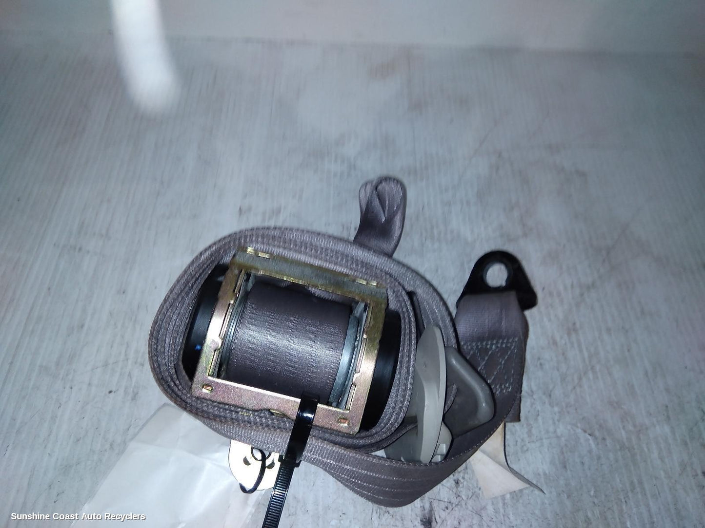 2006 Ford Falcon Seatbelt Stalk