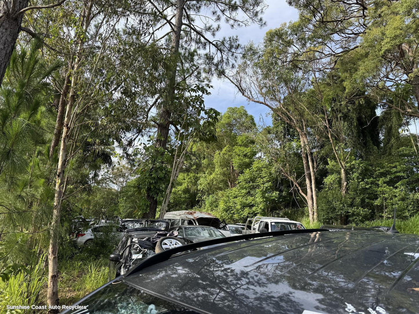 2024 Ford Everest Caliper