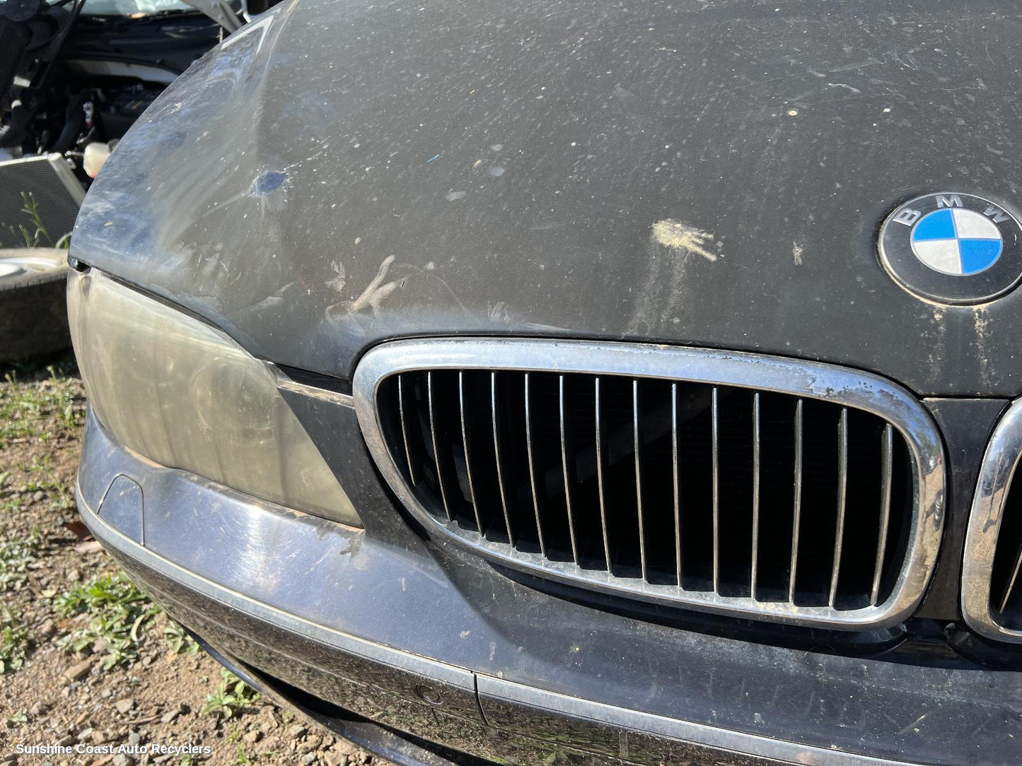 2006 Bmw 7 Series Grille