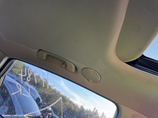 2013 Holden Captiva Grab Handle