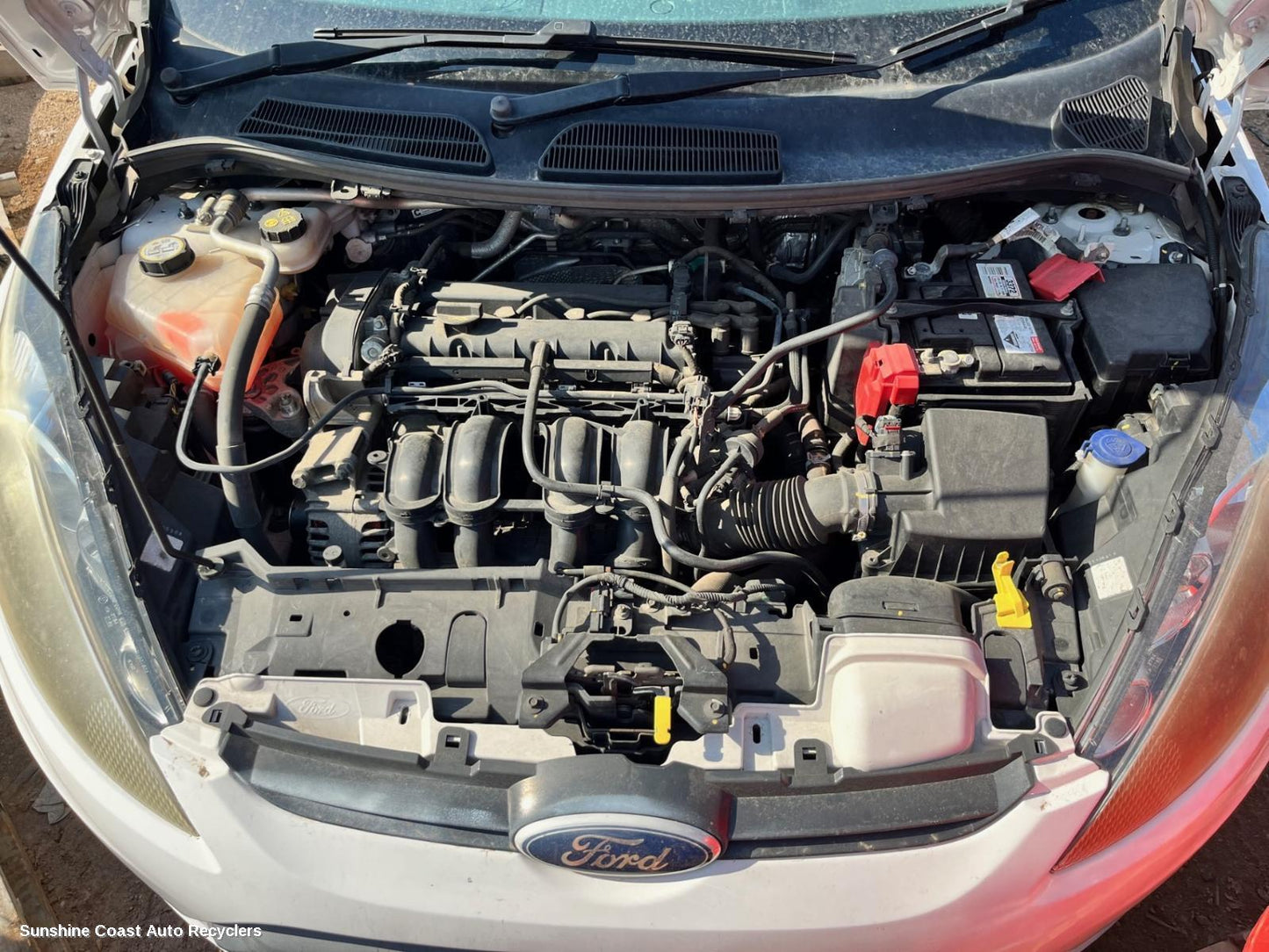 2013 Ford Fiesta Grille