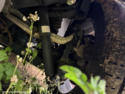 2014 Renault Kaleos Rear Coil Spring