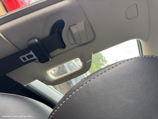 2022 Ldv D90 Grab Handle