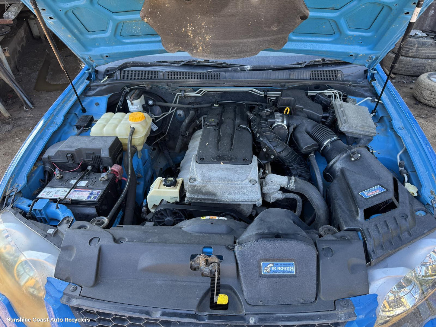 2010 Ford Falcon Engine