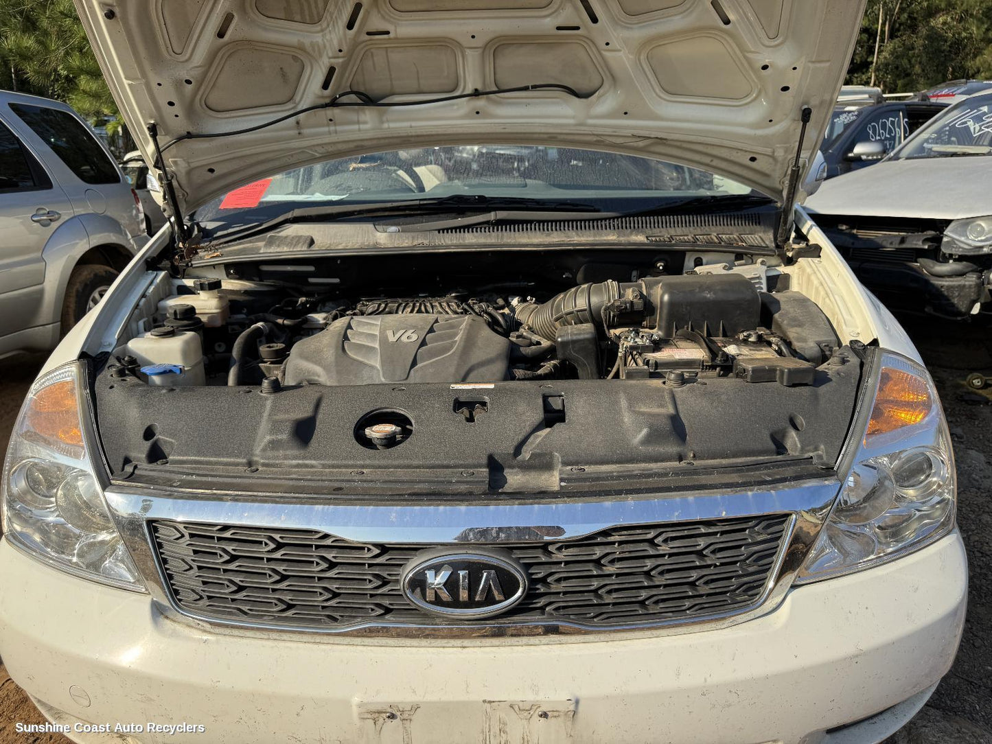 2010 Kia Carnival/grand Carnival Grille