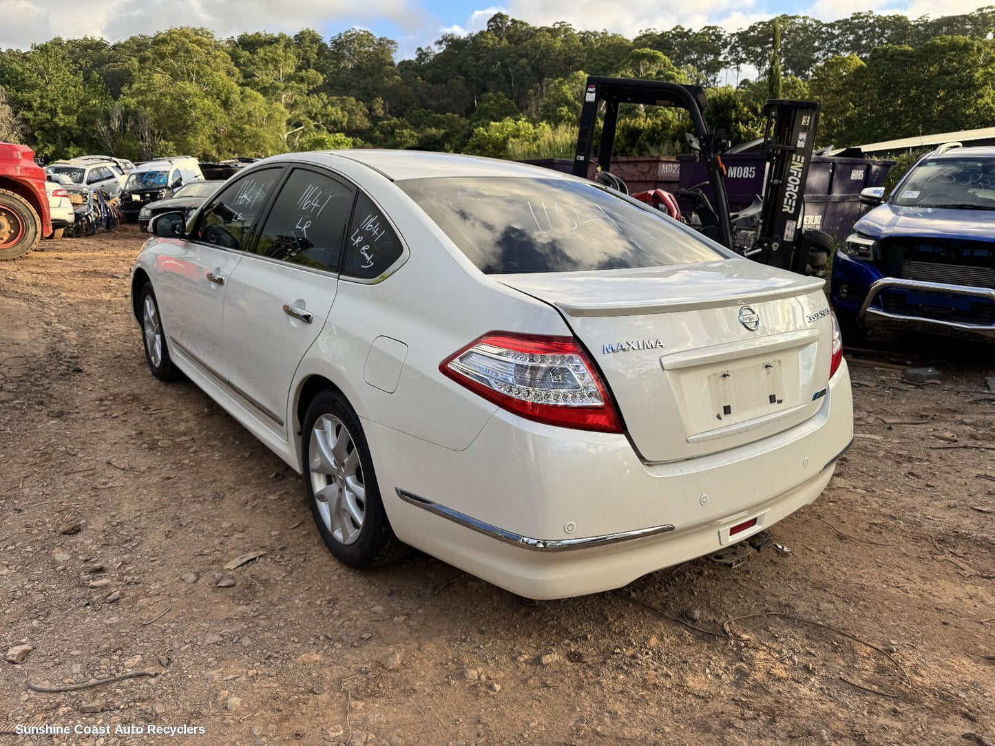 2011 Nissan Maxima Number Plate Lamp