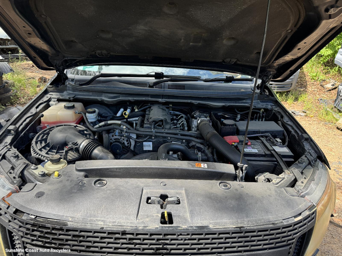 2012 Ford Ranger Headrest