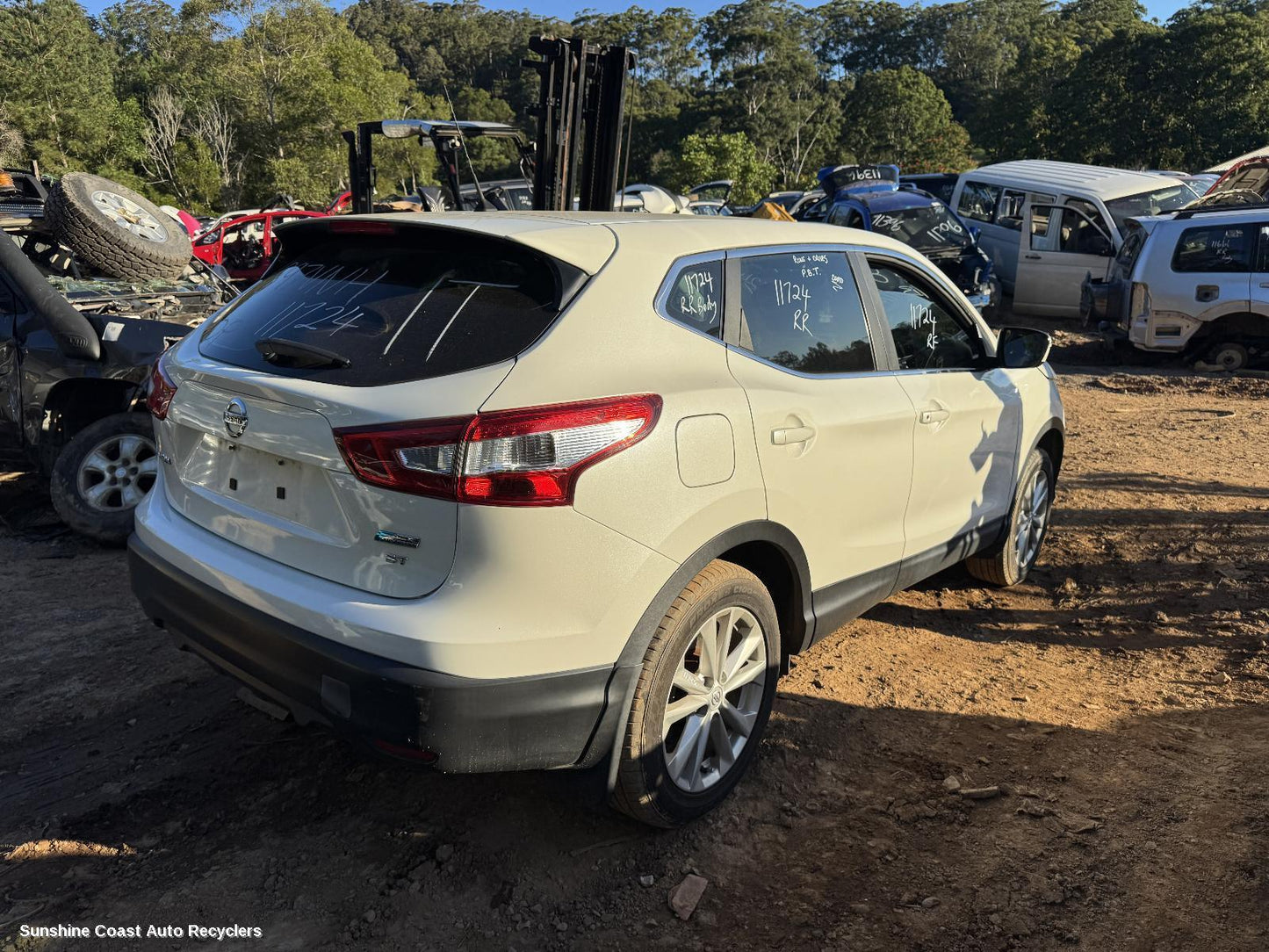 2015 Nissan Qashqai Courtesy Light