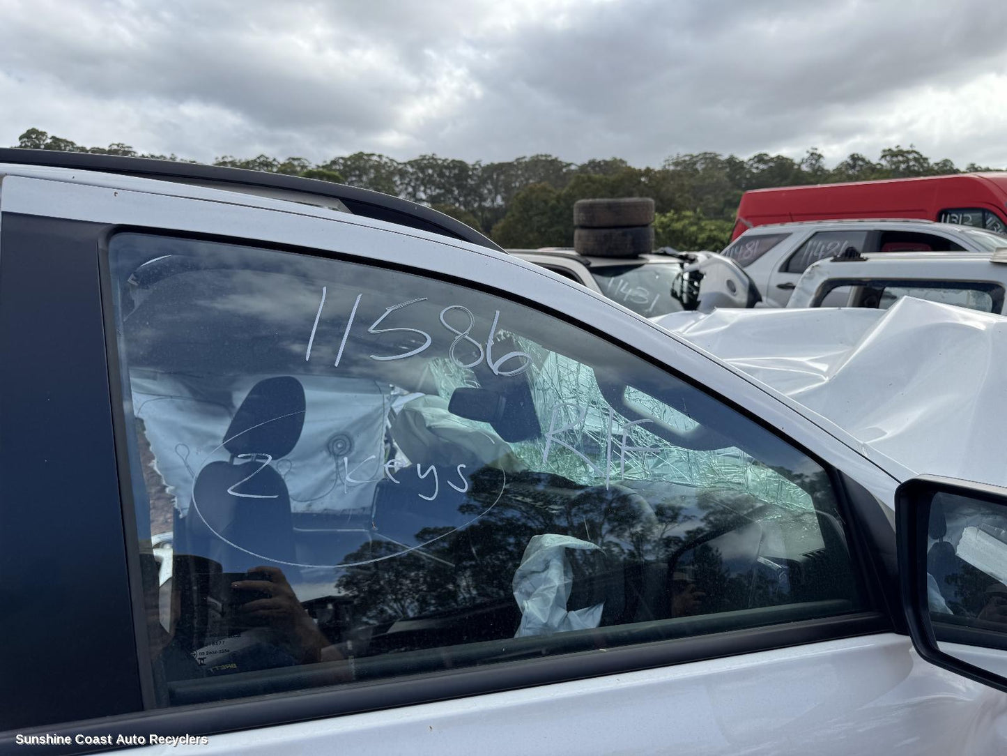 2024 Ford Everest Right Front Door Window