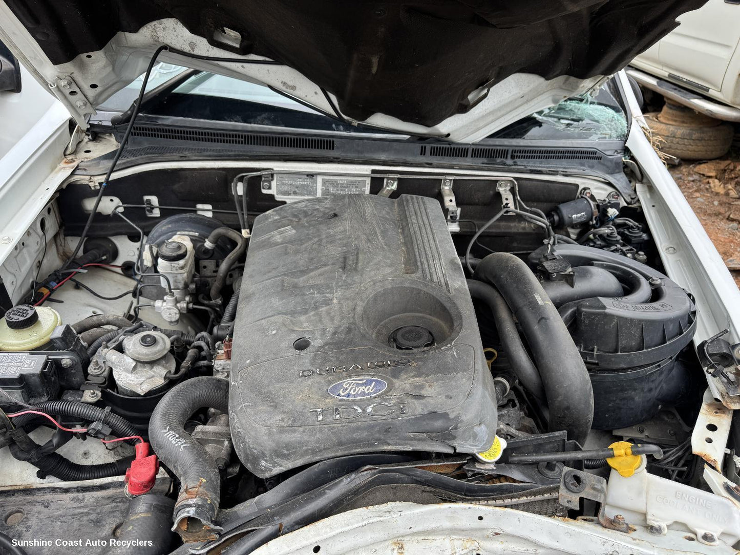 2011 Ford Ranger Seatbelt Stalk