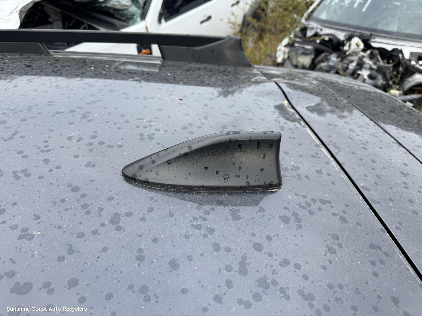 2024 Subaru Crosstrek Antenna