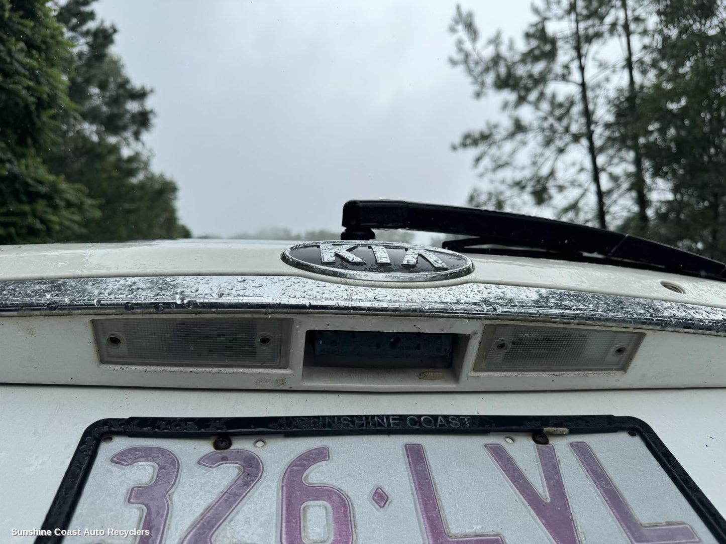 2008 Kia Carnival/grand Carnival Tailgate Handle