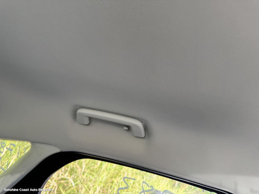 2015 Ford Focus Grab Handle
