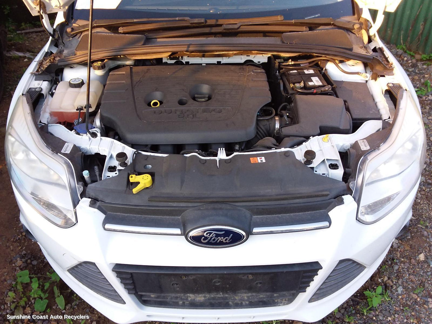 2012 Ford Focus Pedal Assembly