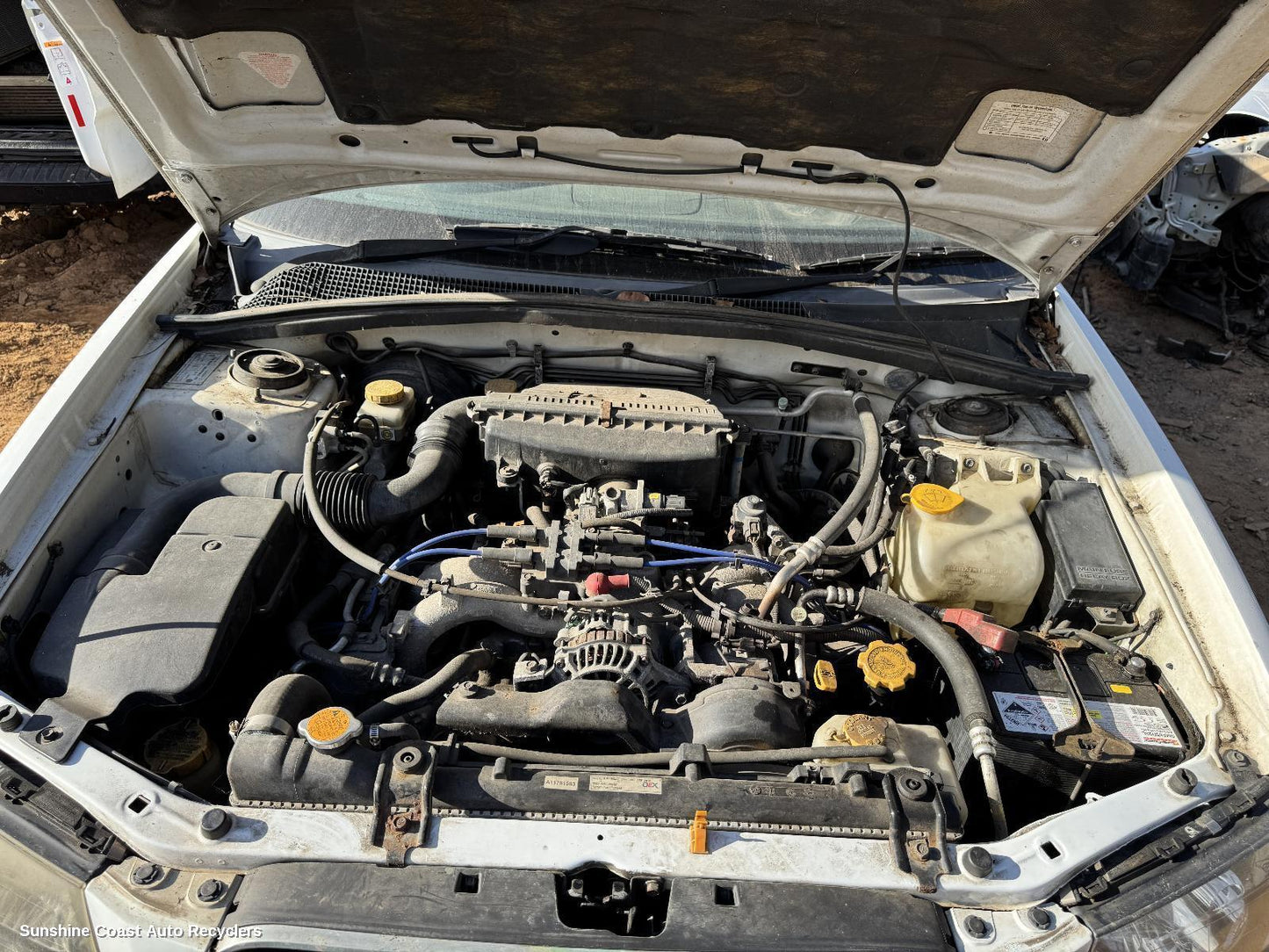 2004 Subaru Forester Silencer