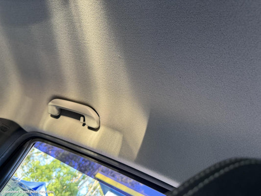 2020 Ldv T60 Grab Handle