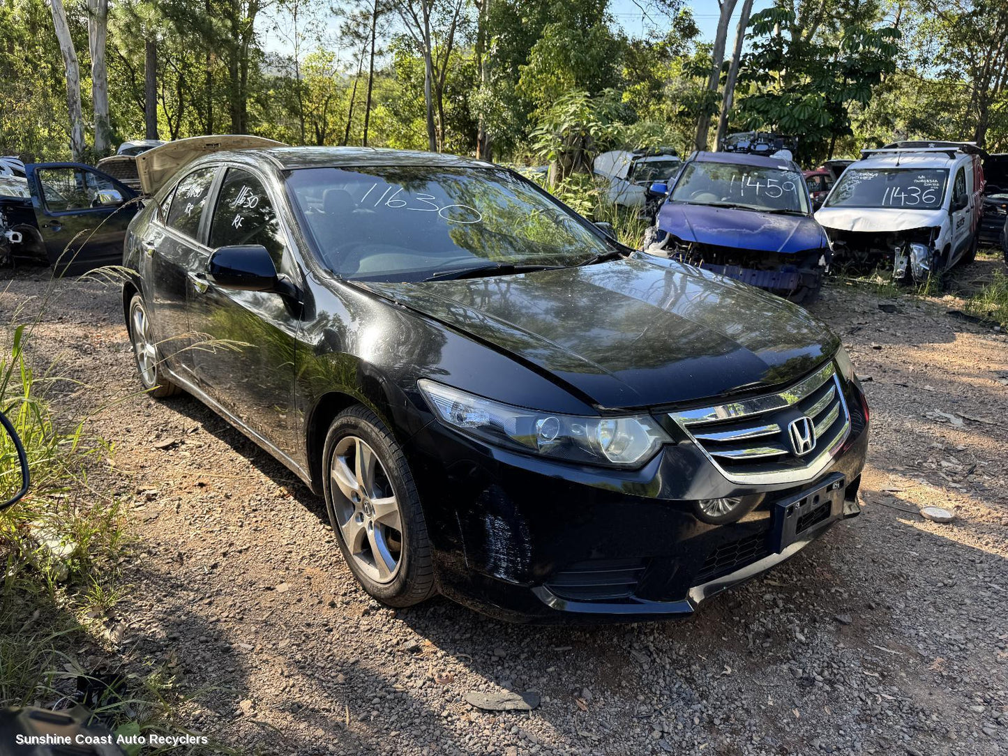 2013 Honda Accord Seatbelt Stalk