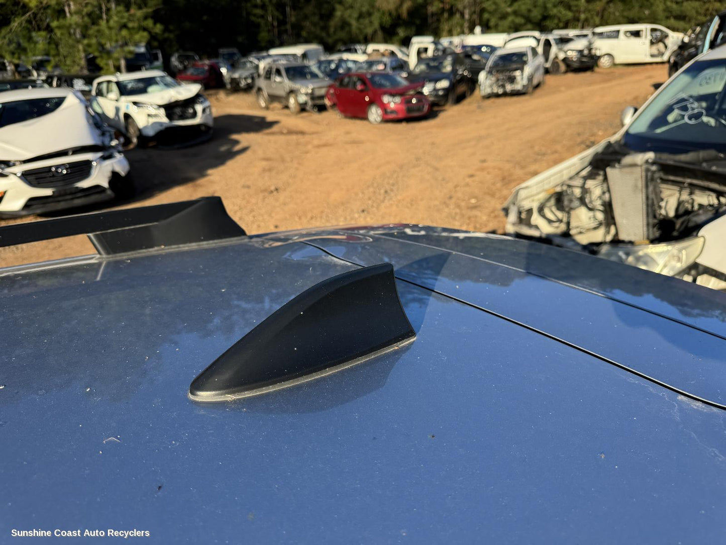 2024 Subaru Crosstrek Antenna