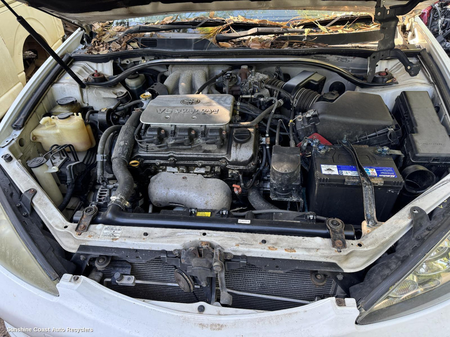 2005 Toyota Camry Bootlid Tailgate