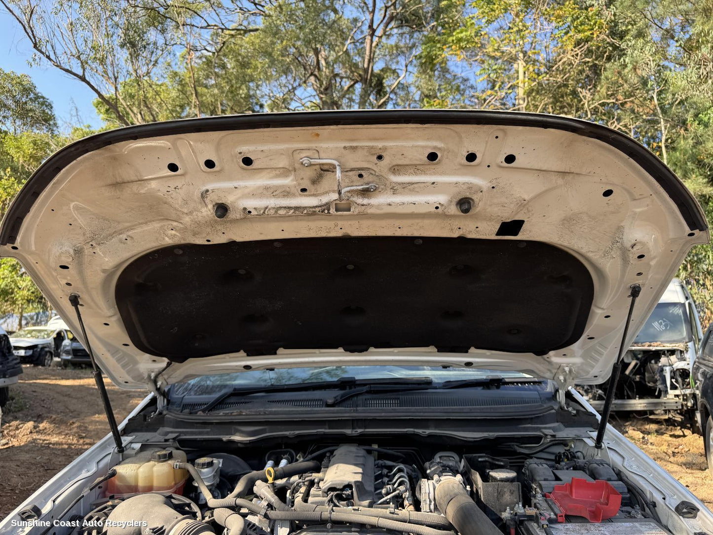 2019 Ford Ranger Bonnet Hinge Strut