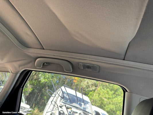 2011 Nissan Dualis Courtesy Light