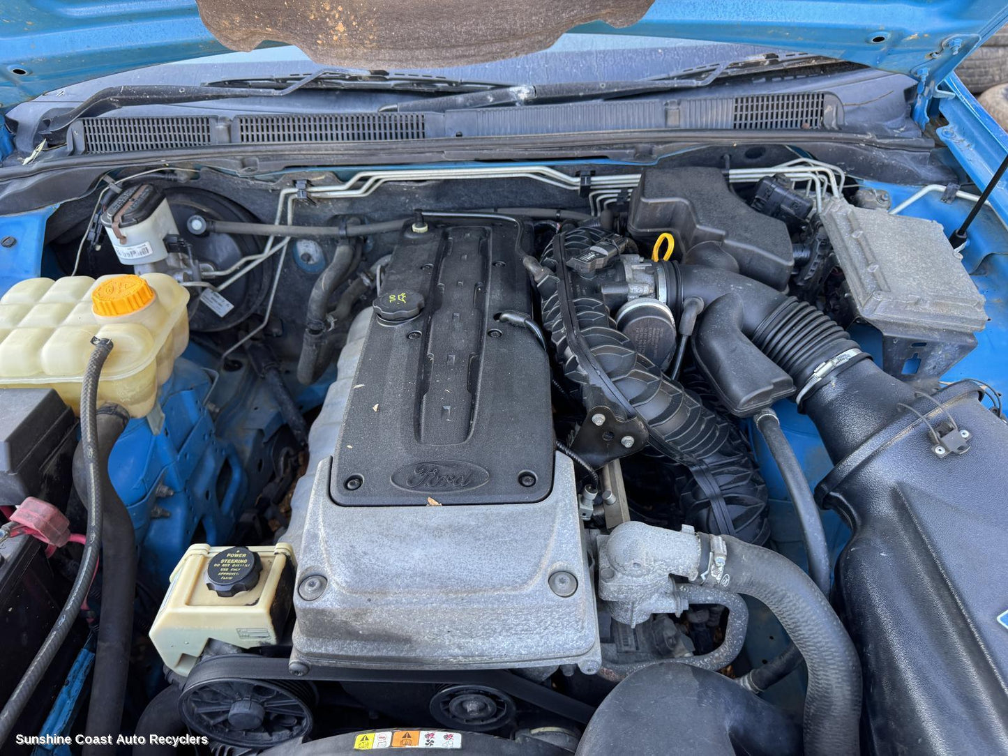 2010 Ford Falcon Engine