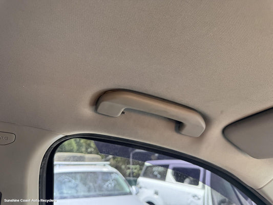 2018 Ldv T60 Grab Handle