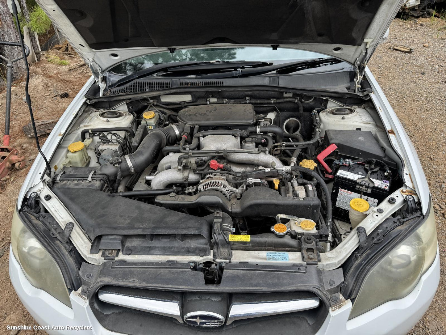 2006 Subaru Liberty Pwr Dr Wind Switch