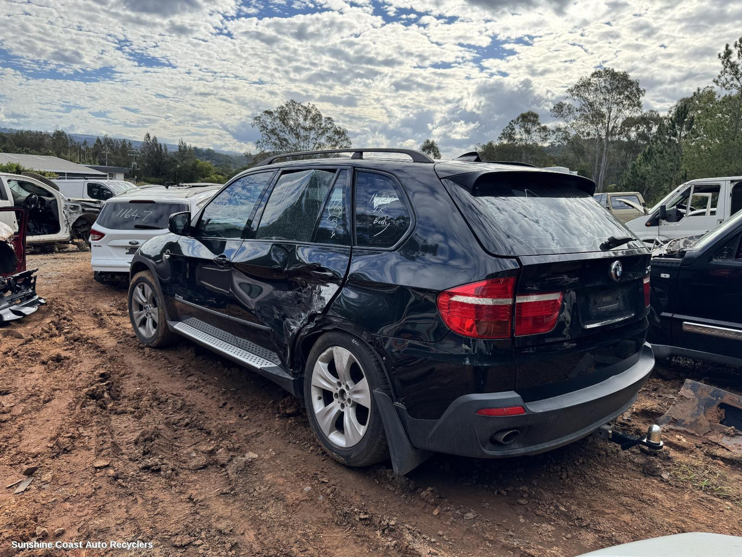 2008 Bmw X5 Courtesy Light