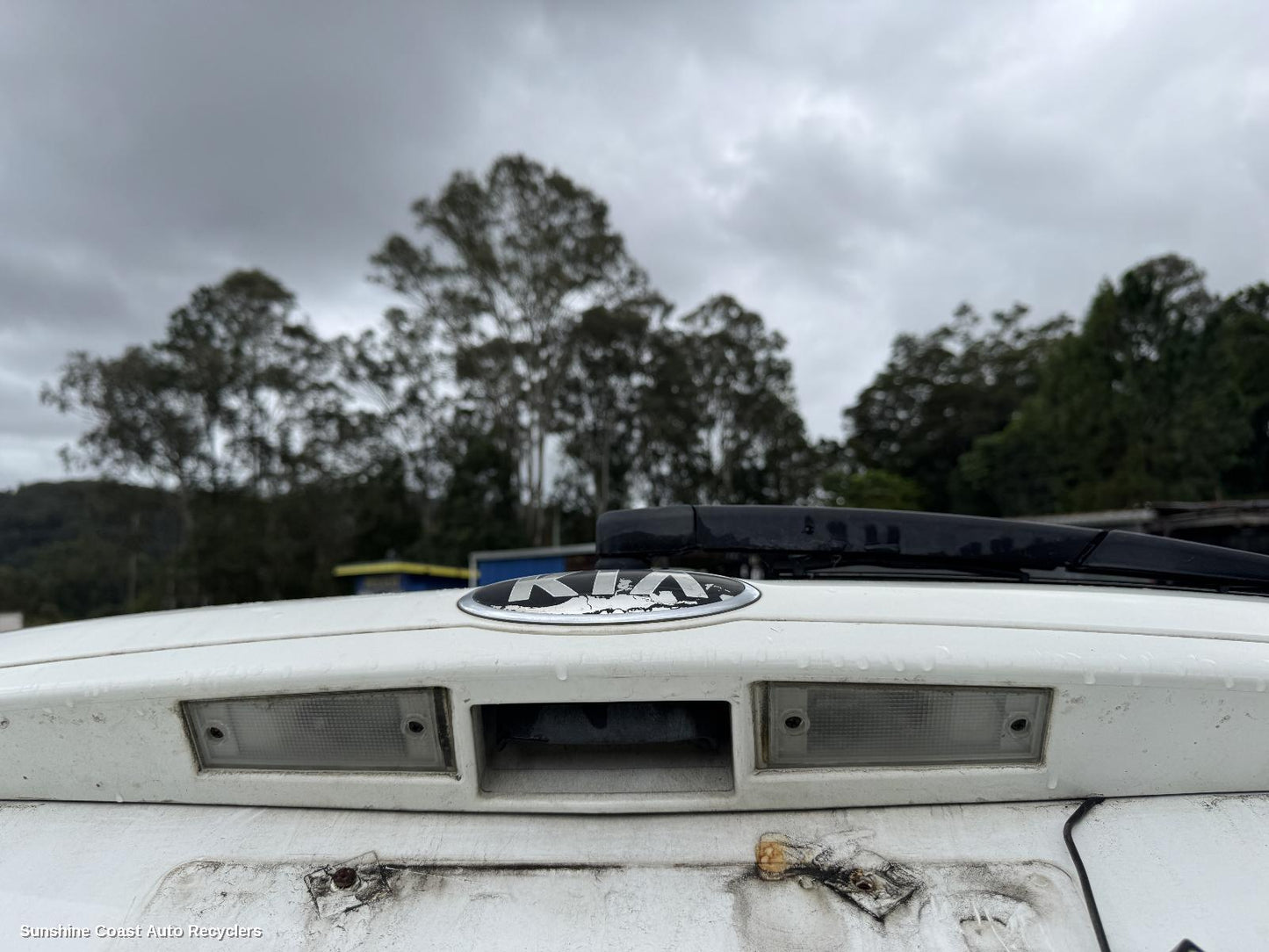 2012 Kia Carnival/grand Carnival Tailgate Handle