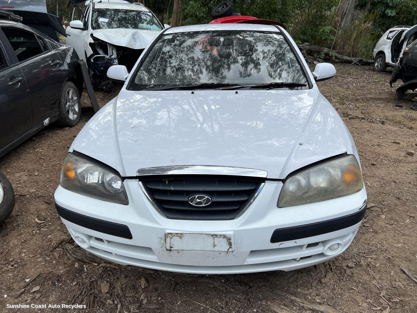 2005 Hyundai Elantra Trans Gearbox