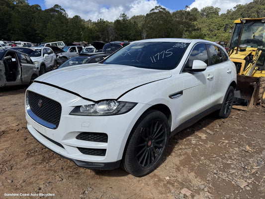 2016 Jaguar F Pace Courtesy Light