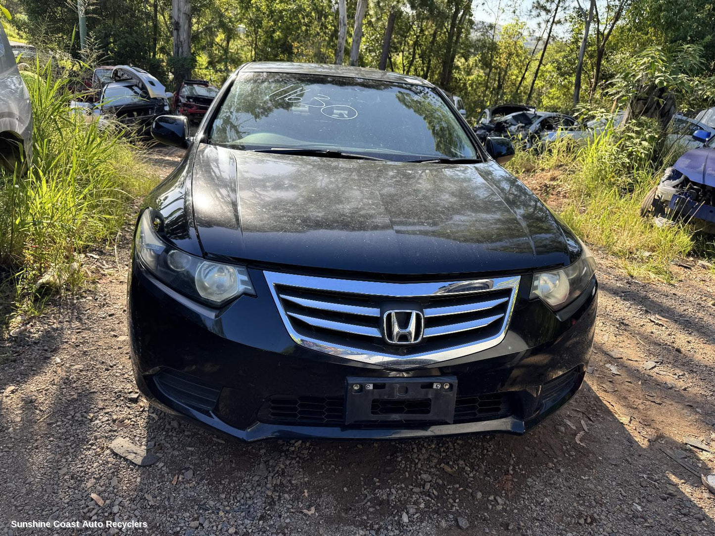 2013 Honda Accord Seatbelt Stalk