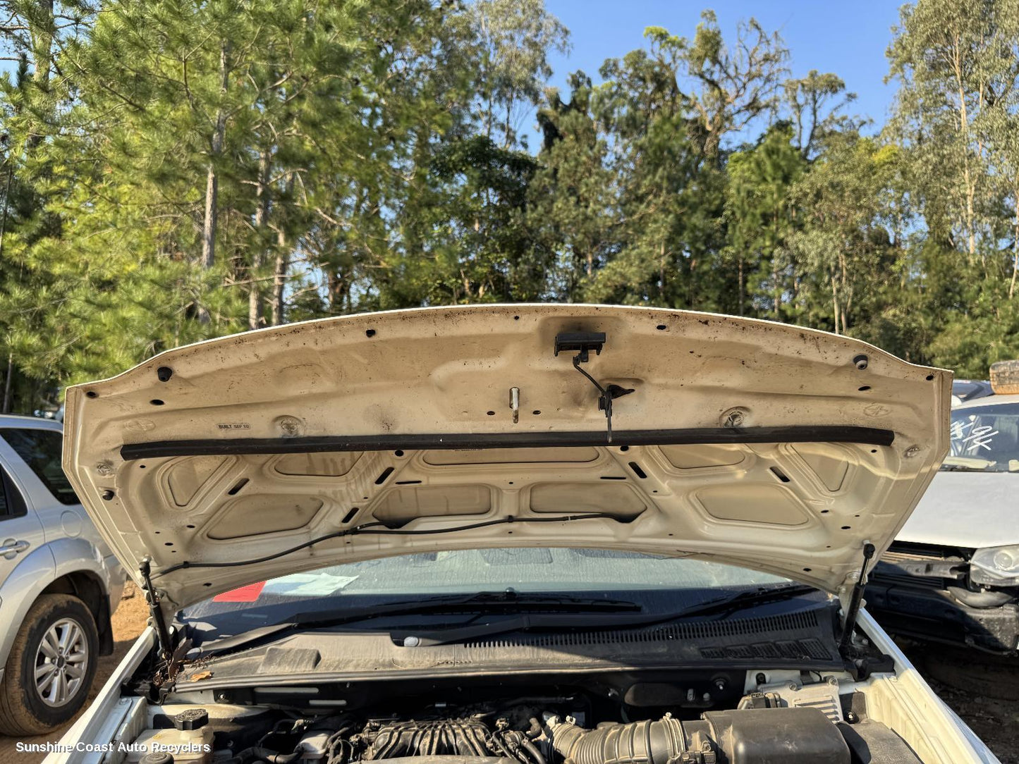 2010 Kia Carnival/grand Carnival Bonnet Hinge Strut