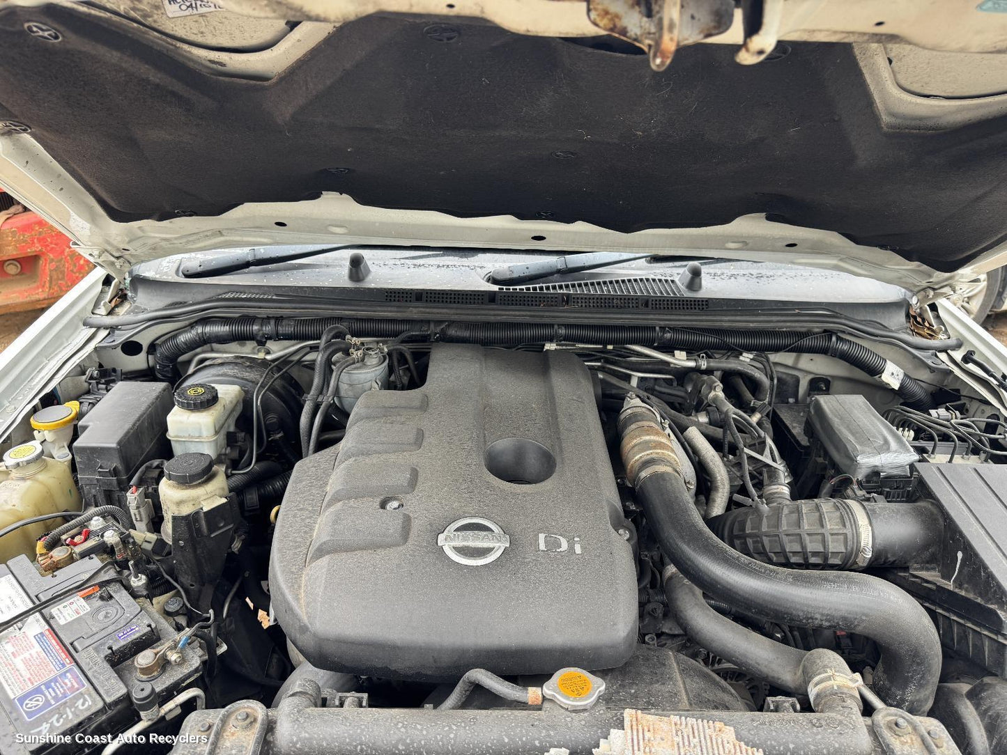 2009 Nissan Navara Right Guard