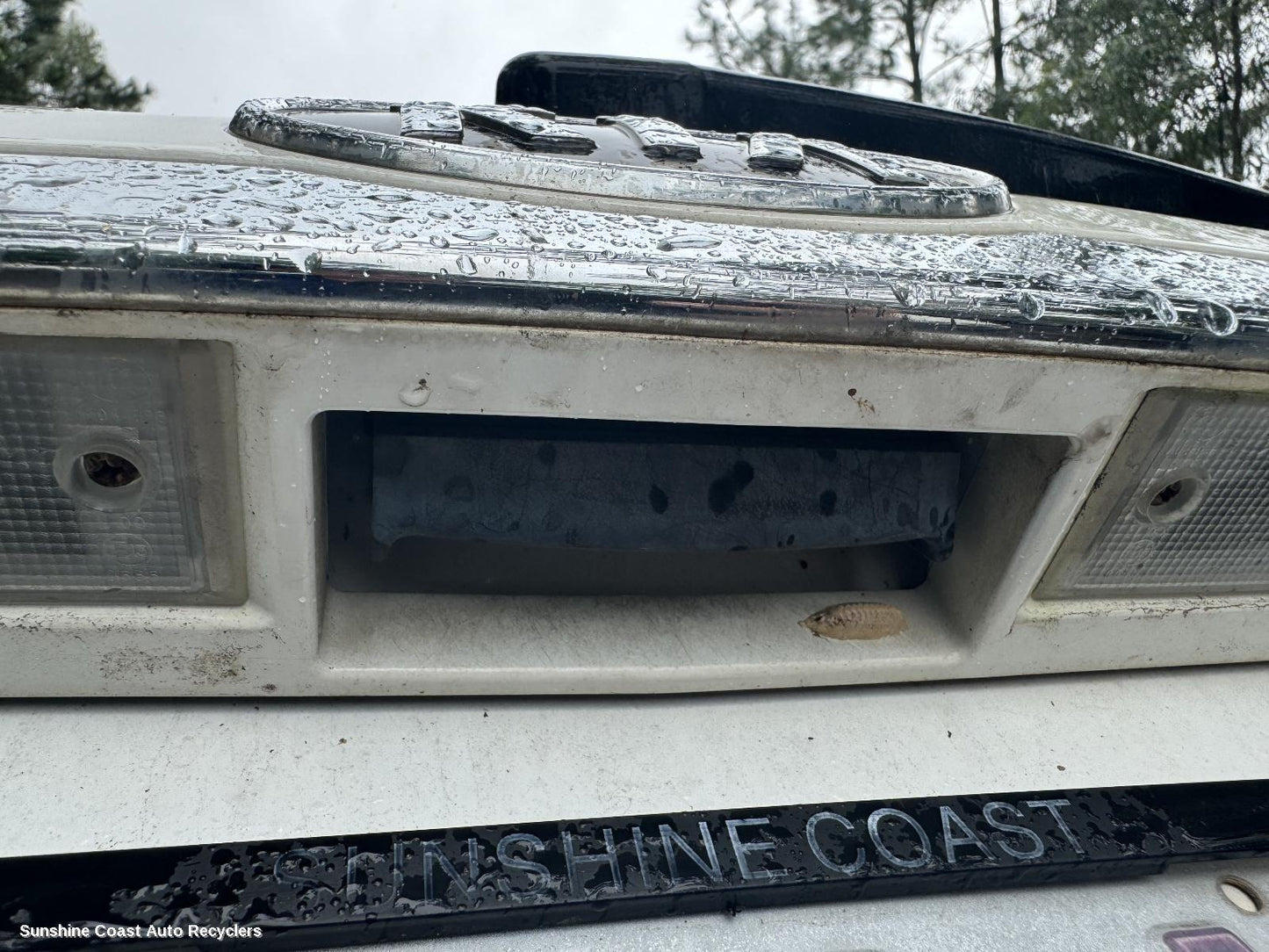 2008 Kia Carnival/grand Carnival Tailgate Handle