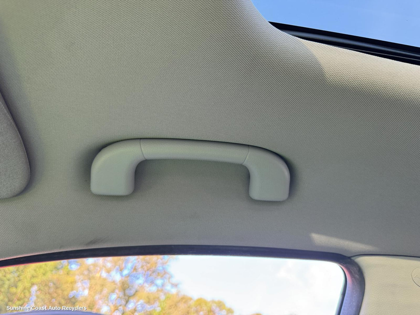 2013 Holden Captiva Grab Handle