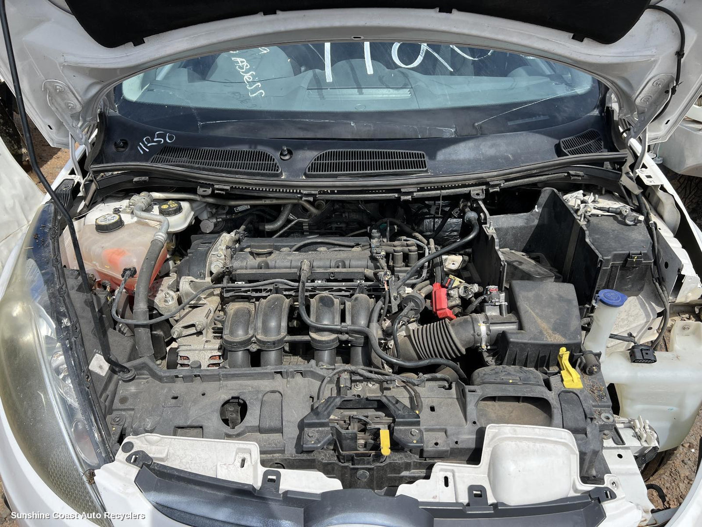 2013 Ford Fiesta Headrest