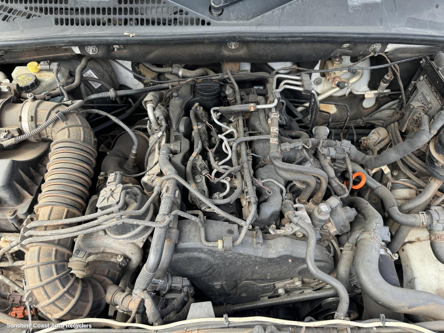 2013 Volkswagen Amarok Engine