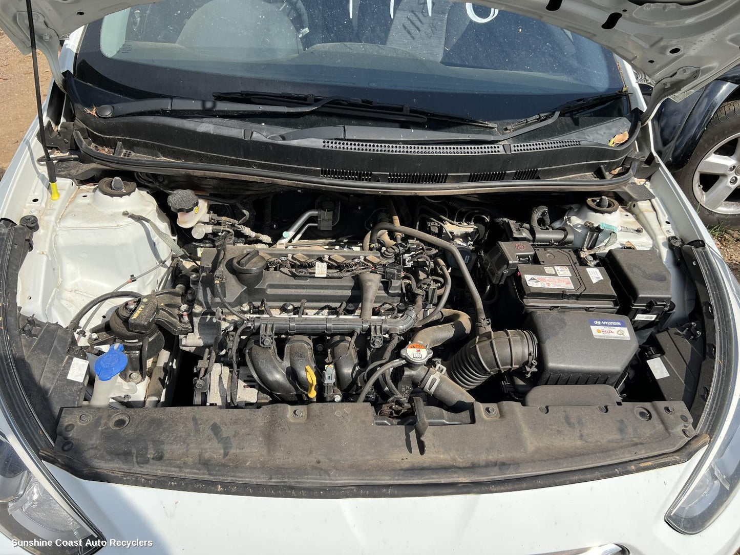 2016 Hyundai Accent Courtesy Light