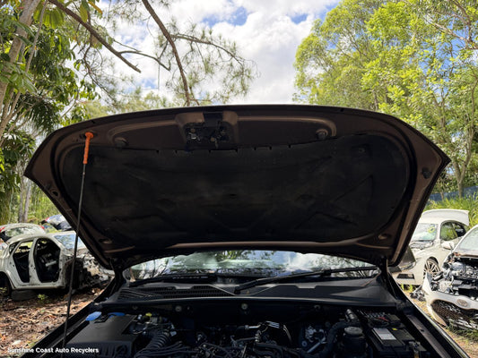 2010-2022 Volkswagen Amarok Bonnet Hinge Strut