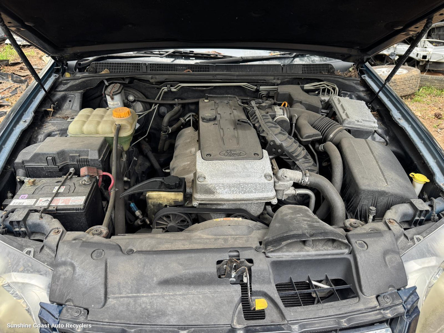 2012 Ford Falcon Silencer