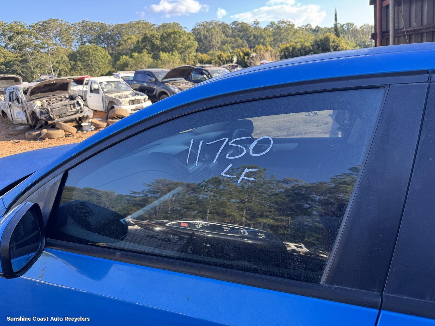 2010 Ford Falcon Left Front Door Window