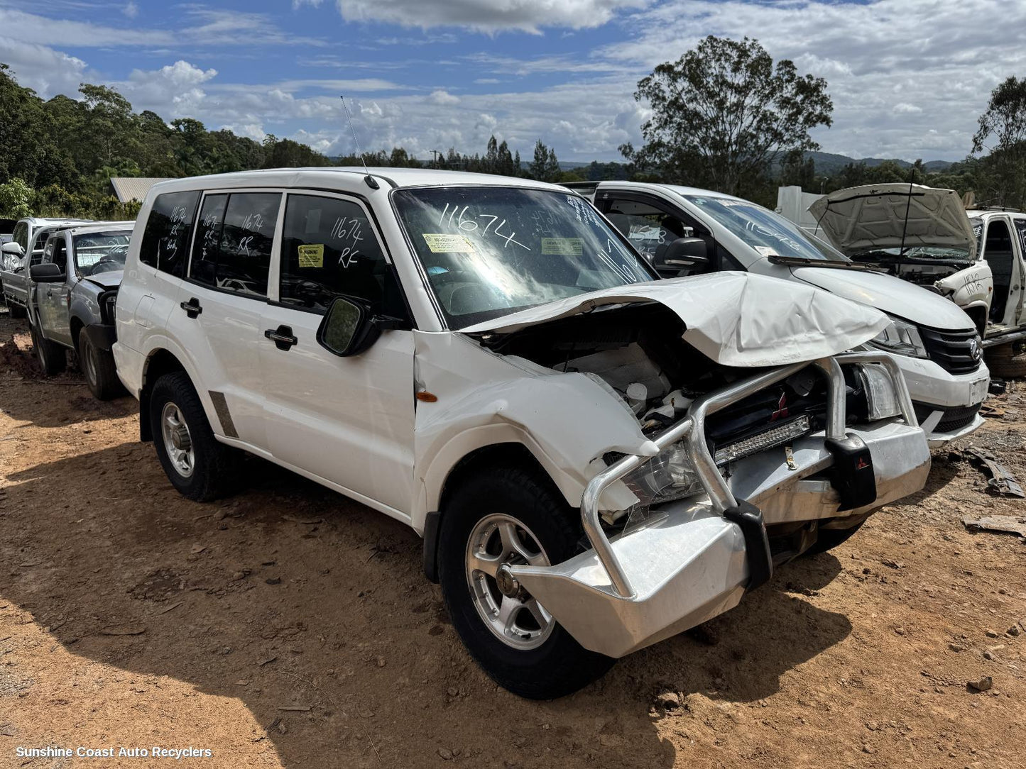 2002 Mitsubishi Pajero Left Front Door Window