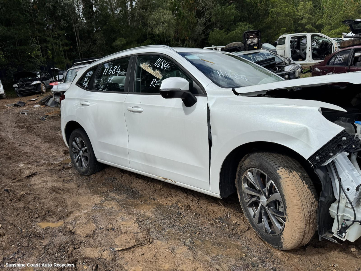 2023 Haval Jolion Door Trim