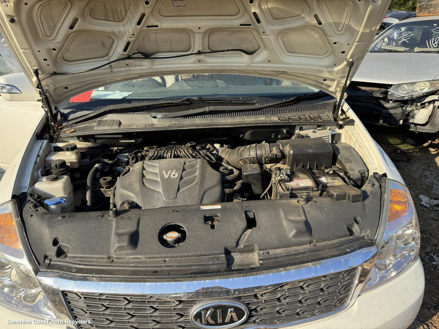 2010 Kia Carnival/grand Carnival Bonnet Hinge Strut