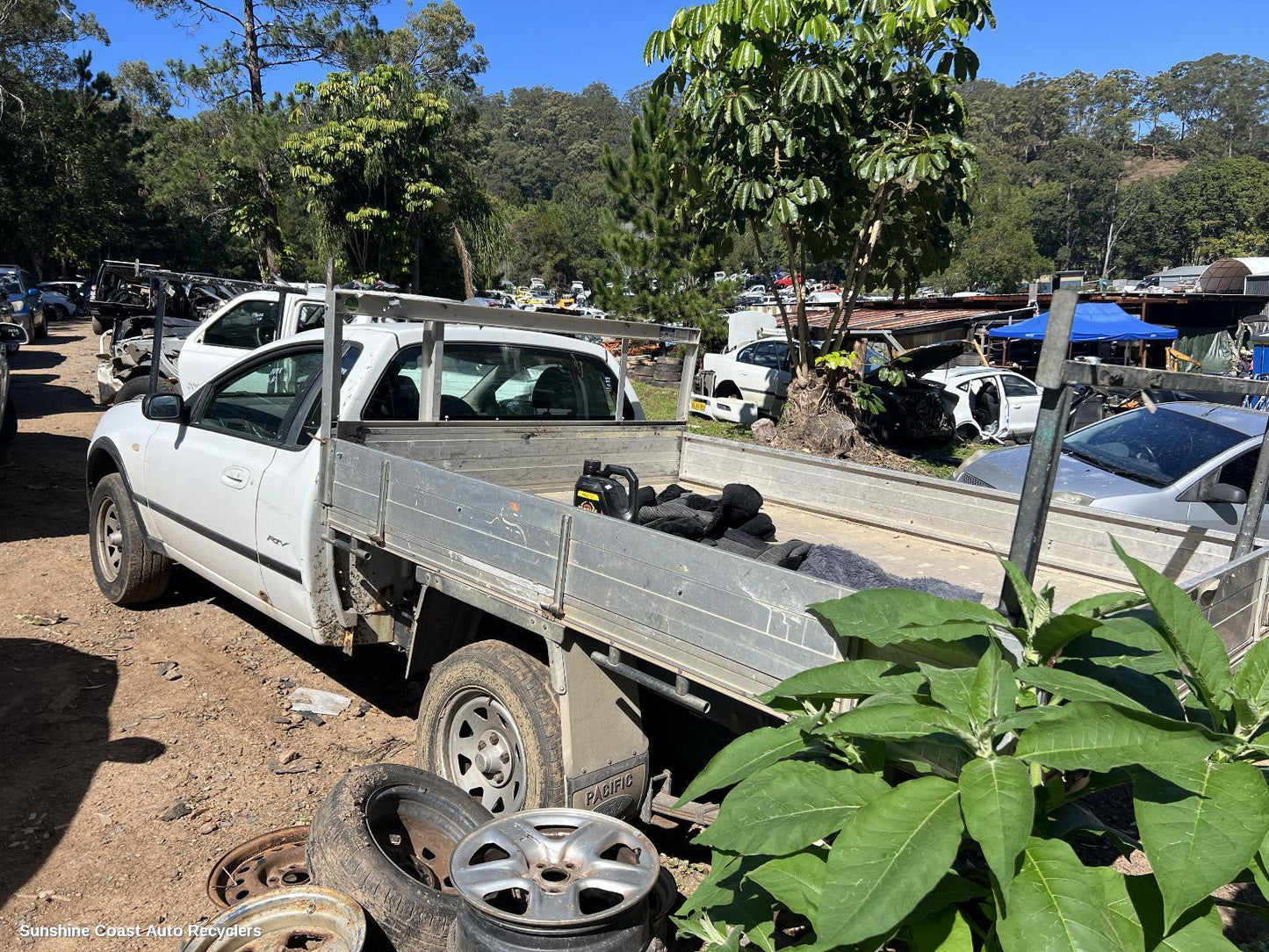 2008 Ford Falcon Ecu