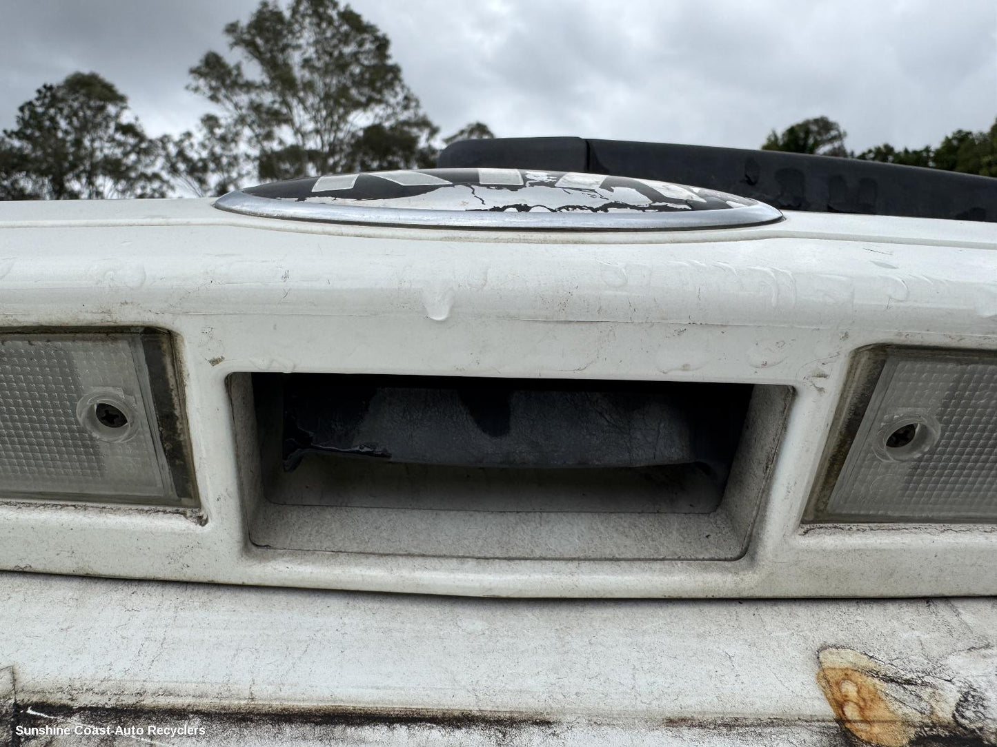 2012 Kia Carnival/grand Carnival Tailgate Handle