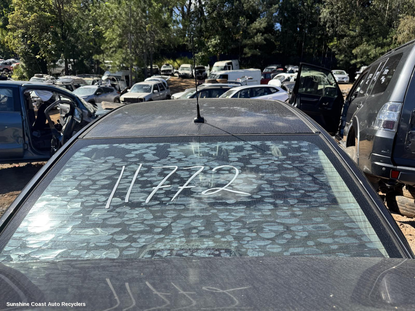 2010 Holden Cruze Antenna