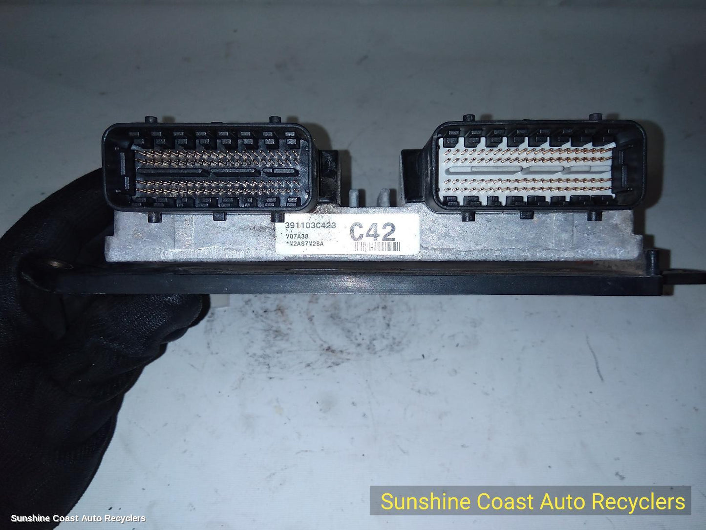 2010 Kia Carnival/grand Carnival Ecu